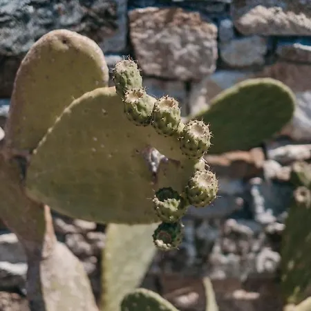 Pende Natura Residences *